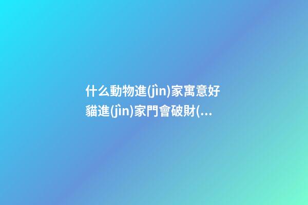 什么動物進(jìn)家寓意好 貓進(jìn)家門會破財(cái)嗎